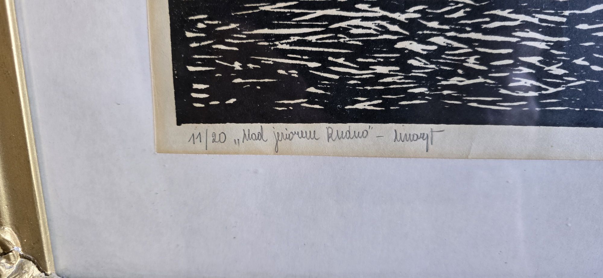 Linoryt  " Nad jeziorem Rudno " Klaudiusz Sandorski