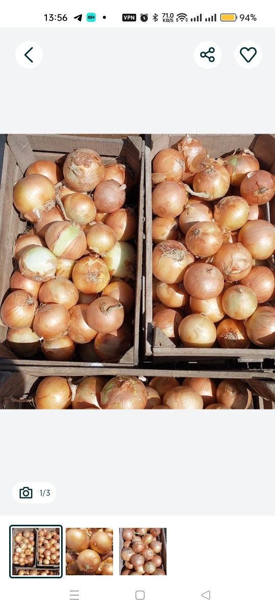 Cebola branca doce