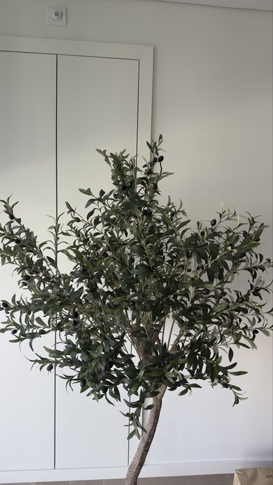 Linda oliveira realista