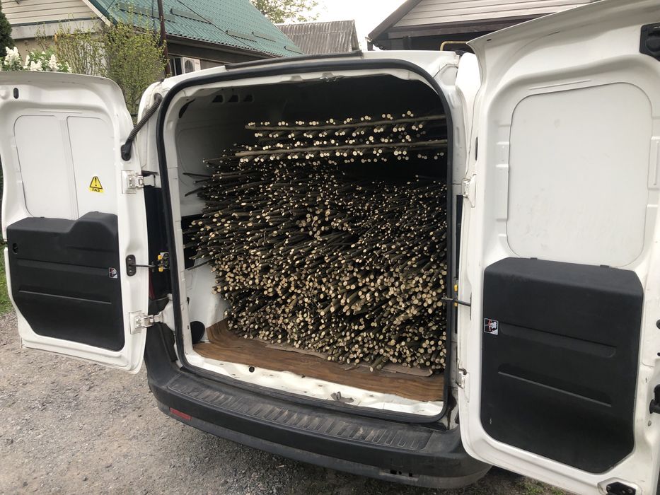 Грузоперевозки  до 1 тонни