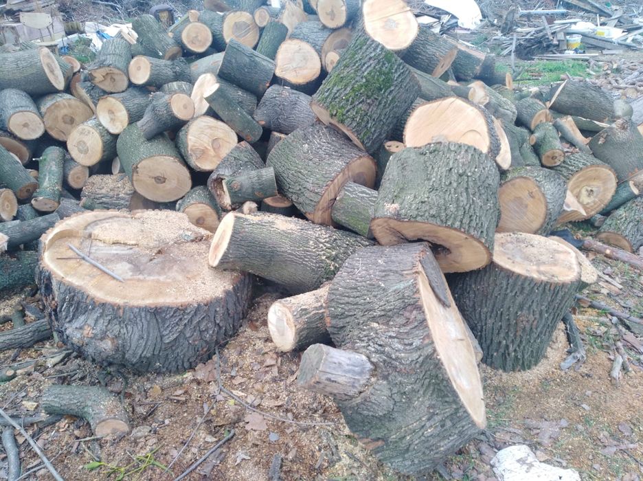 Drewno opałowe i kominkowe. Dowóz Wroc,Oleśn,TrzebOława.jelcz .Sroda.