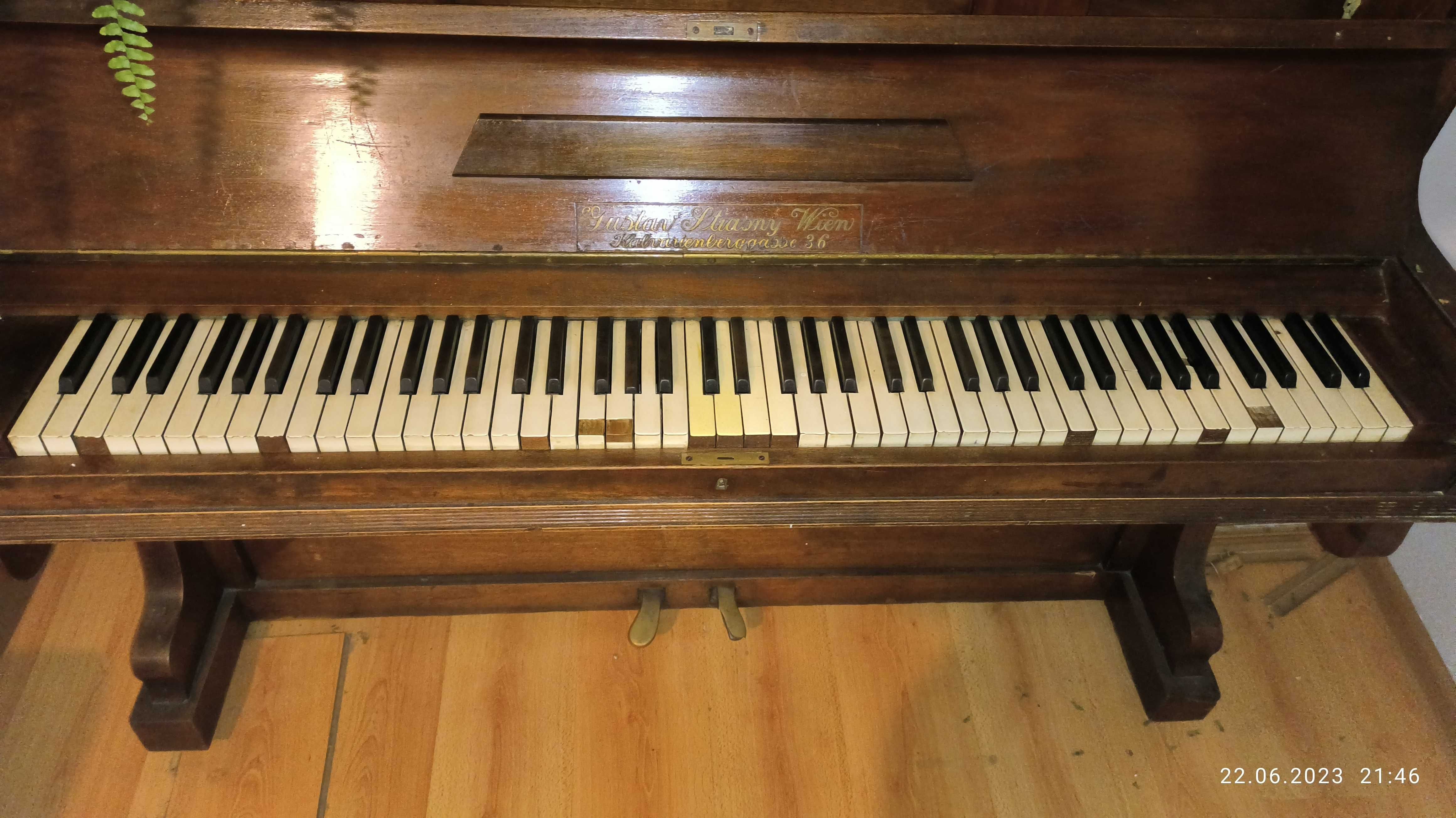 Justin ftiasny wien piano 36