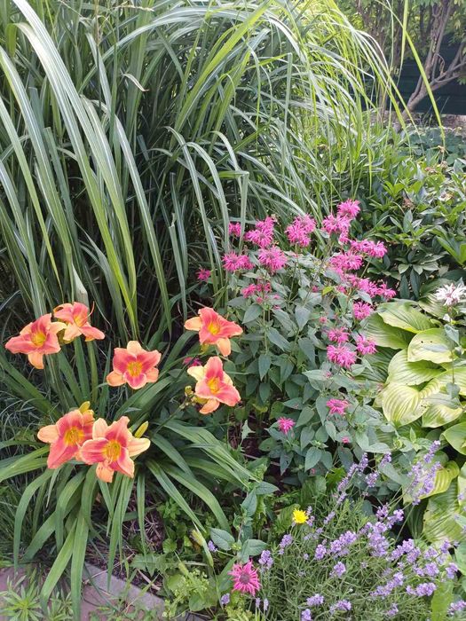 Якісна цегляна  2 пов . дача-будинок поруч з річкою .