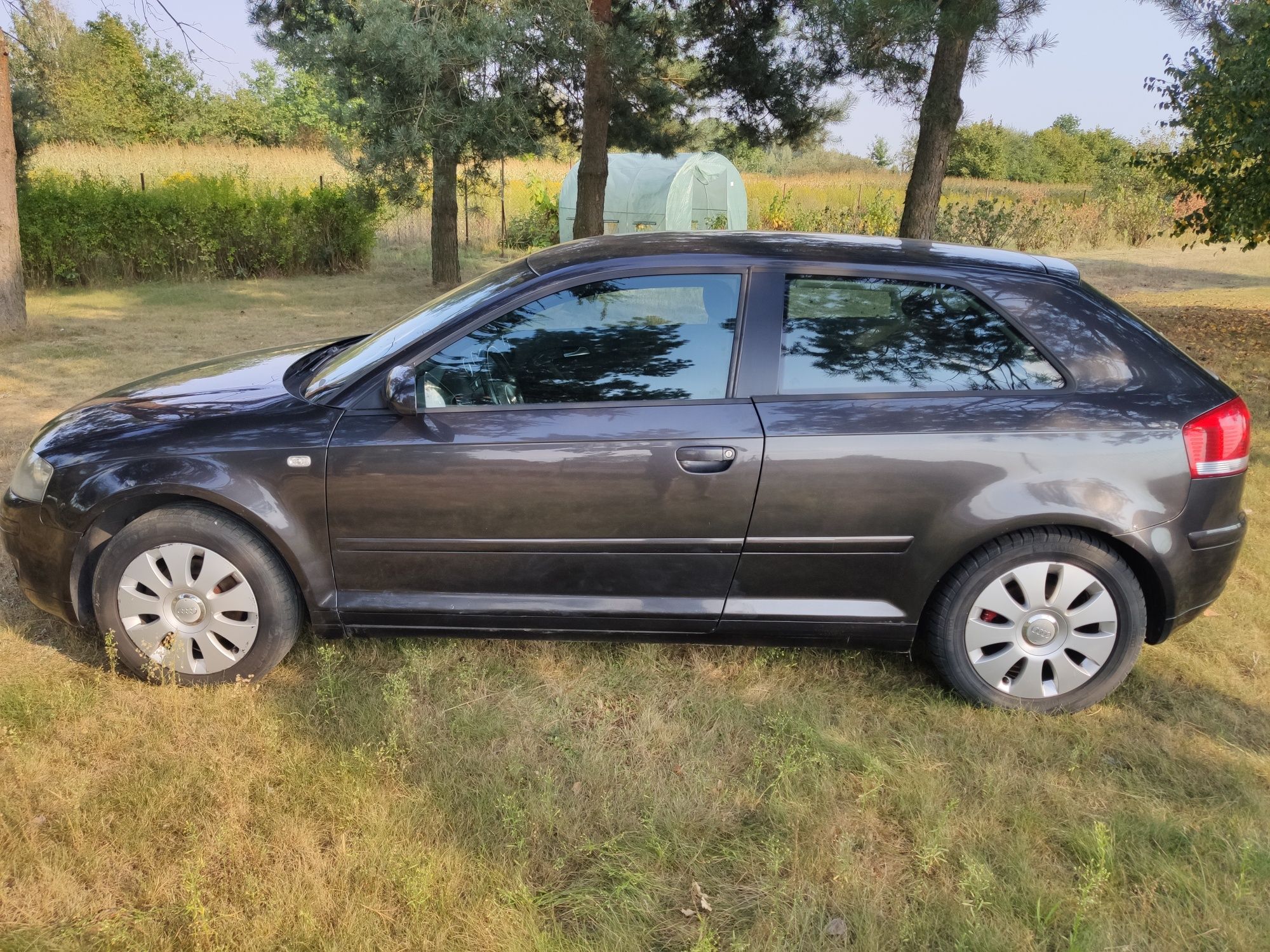 Audi a3 8p 1.6 MPI 2004r