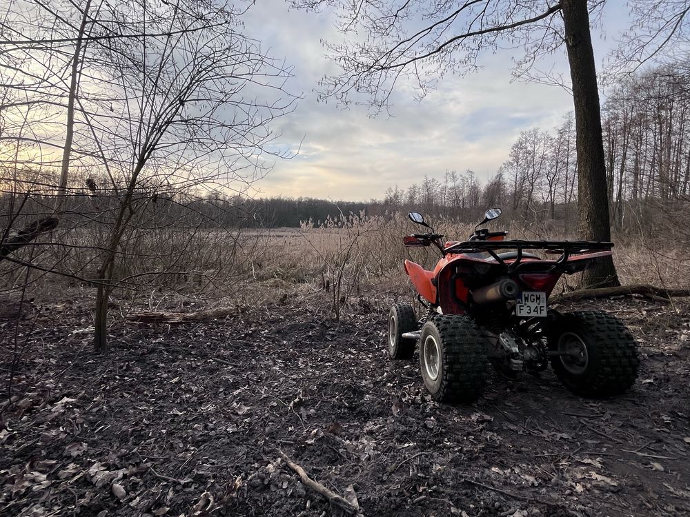 Kymco maxxer 300 L7e