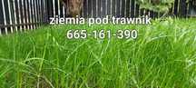 Ziemia ogrodowa, ziemia pod trawnik, ziemia pod warzywa - Łódź Zgierz
