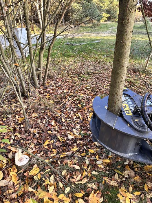 Wynajem MultiOne, Avant–ogrody, budowa, ogrodzenia, przesadzanie drzew