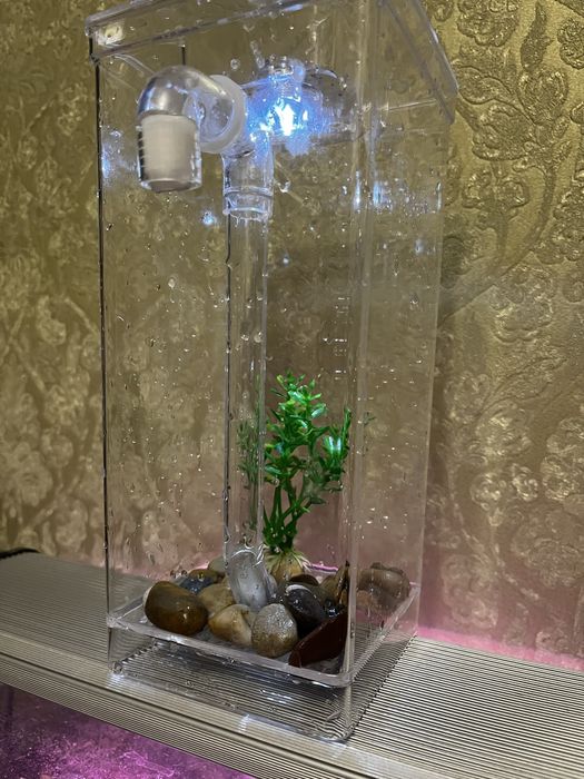 Аквариум пластиковый на 2 л