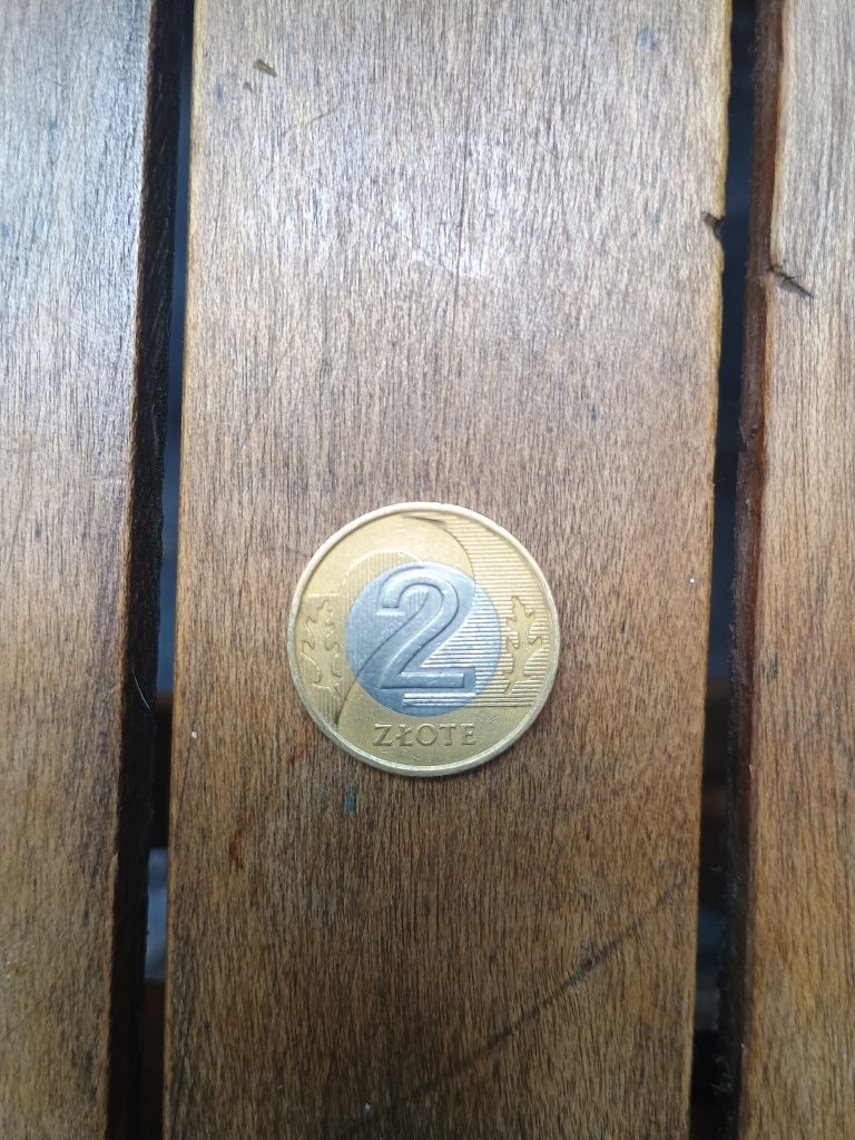 Wyjątkowa moneta 2 złote z 1994 roku – stan kolekcjonerski
