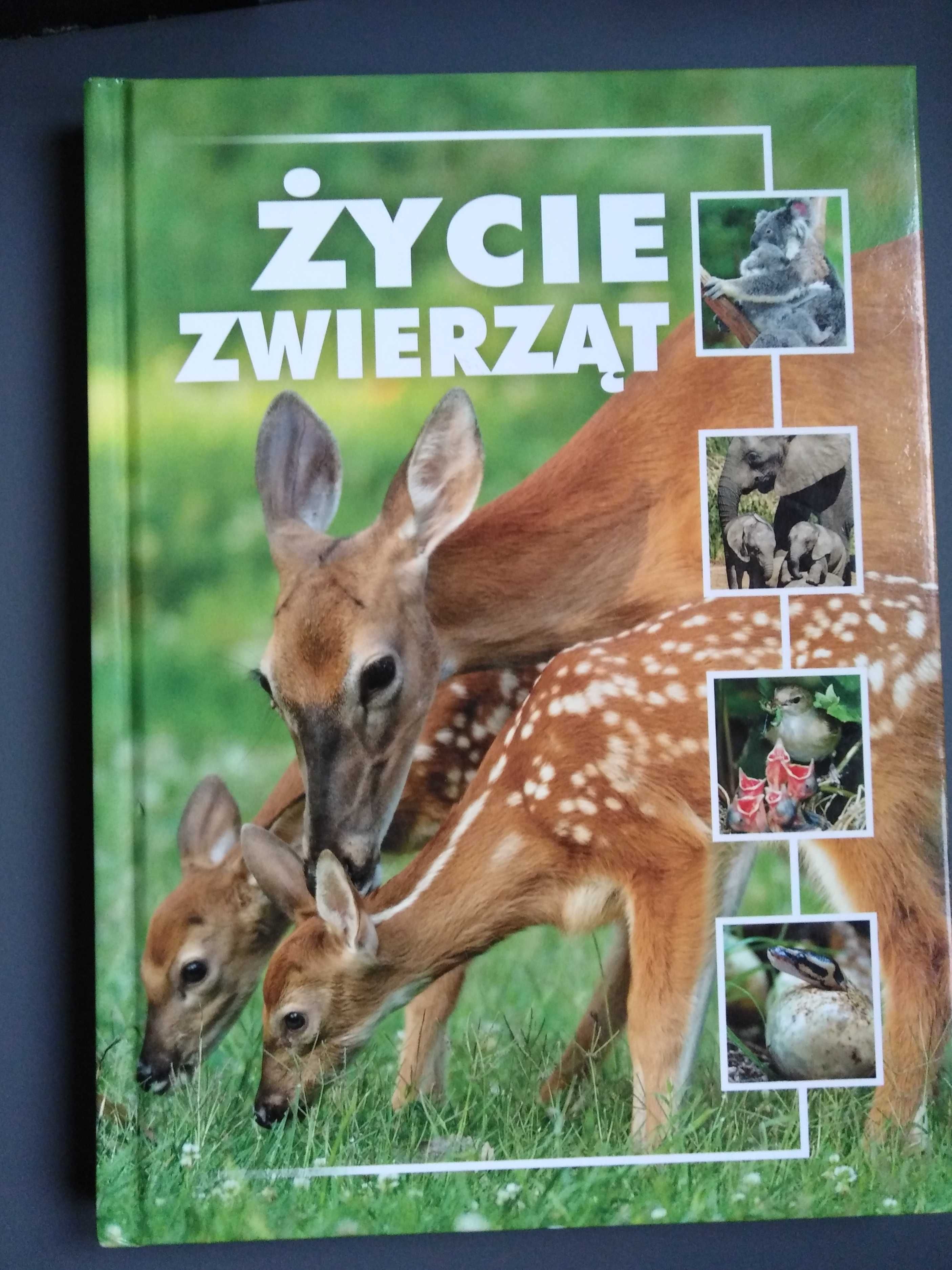 Książka Życie zwierząt