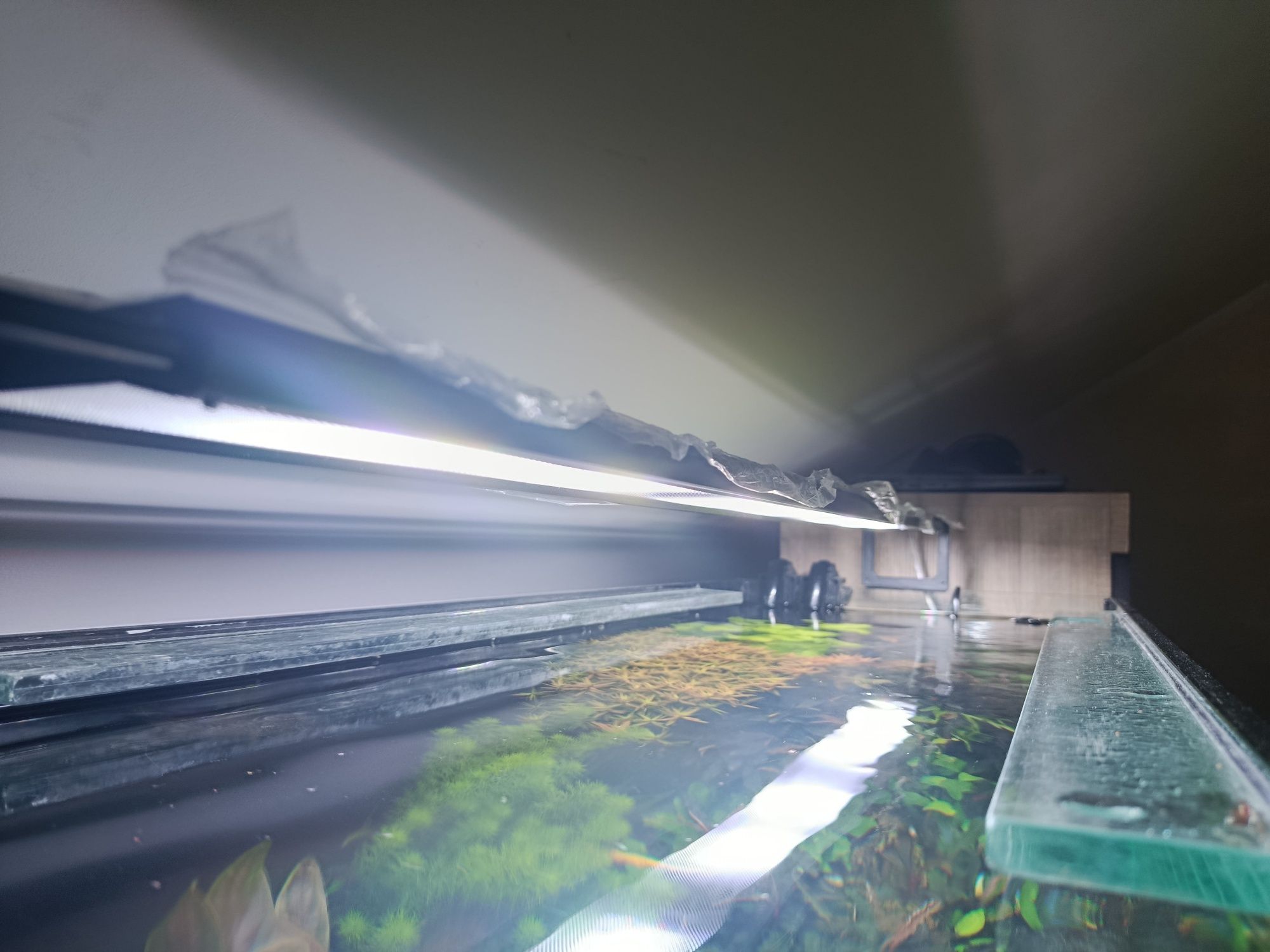 Skylight FOQAL FXL2.90 H Oświetlenie LED 60W do akwarium WiFi + nóżki