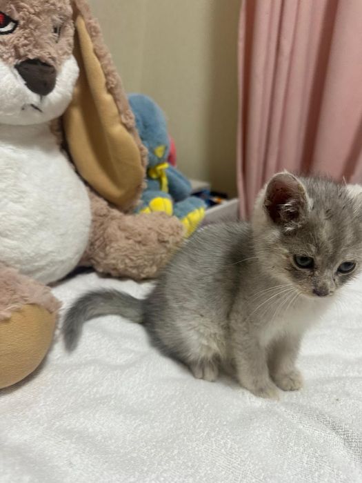 Хлопчик в хороші руки