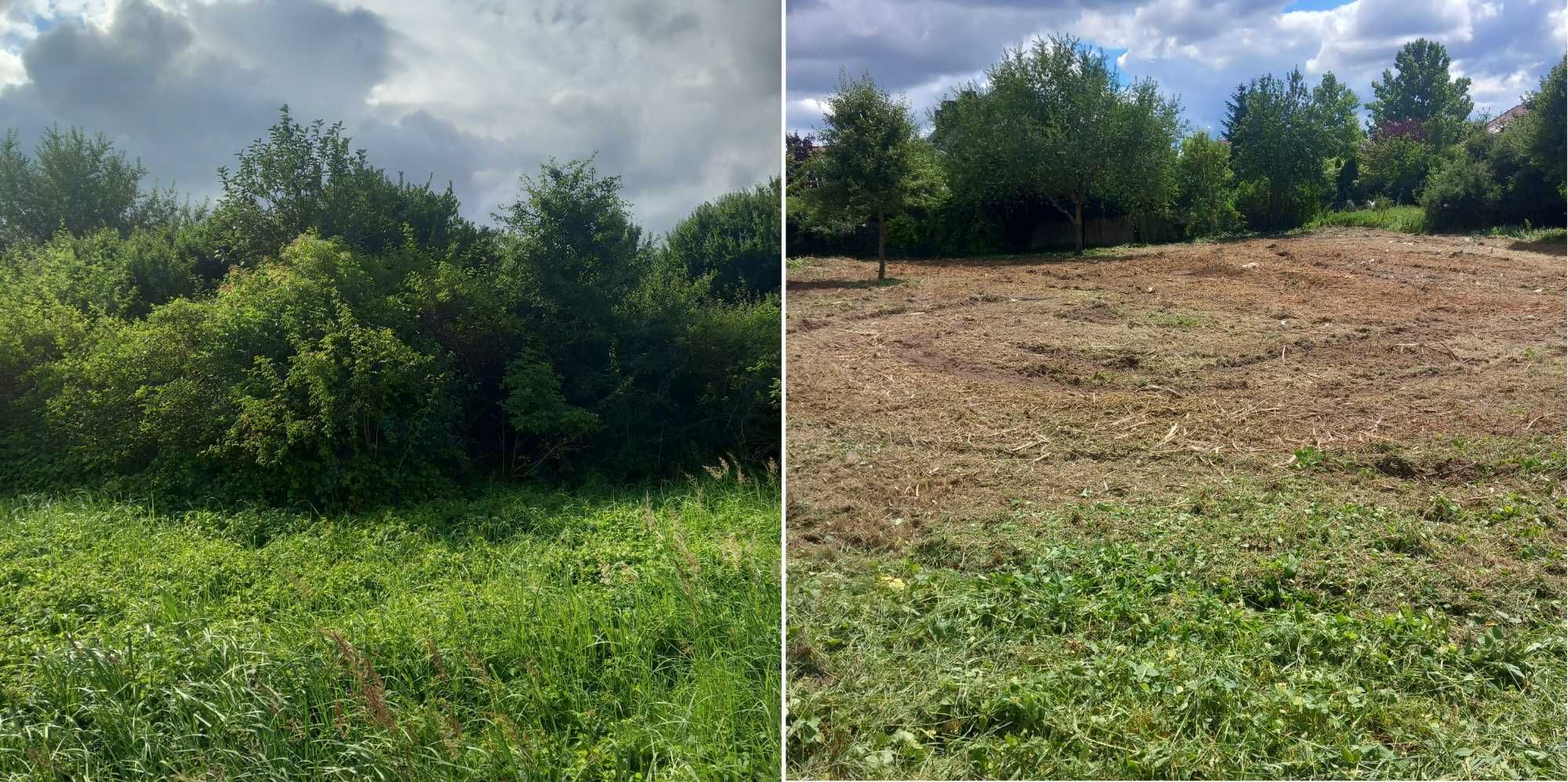 koszenie farm FV, karczowanie i oczyszczanie działek, wycinka drzew