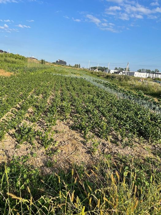 Три земельні ділянки біля Львова/Земельна ділянка/Велика ділянка