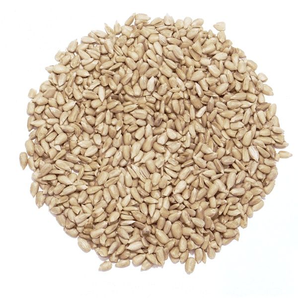 Słonecznik łuskany pierwszy gatunek 10 kg doskonały na dokarmianie