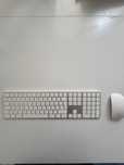 Apple magic keyboard + Apple magic mouse