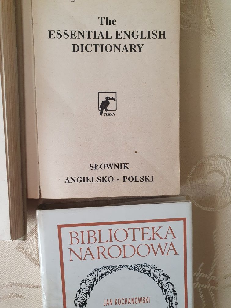 Stary słownik   np. francusko polski , angielsk, rosyjski , techniczny