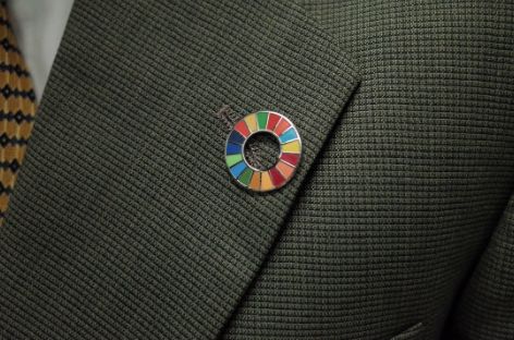 PIN Global Goals - Nações Unidas