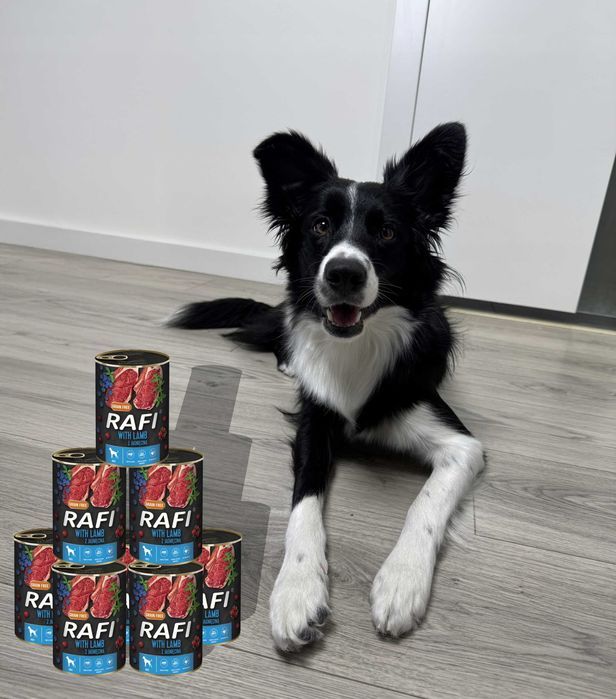 Karma Mokra Dla Psów RAFI z Jagnięciną, Borówką i Żurawiną 400g-48 szt