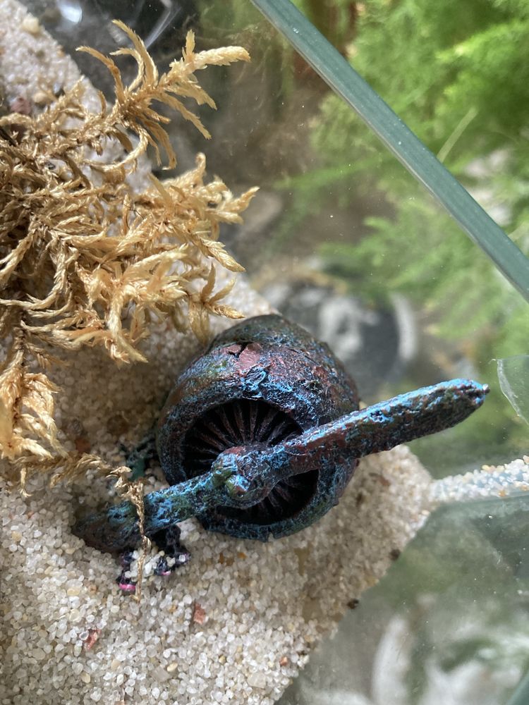 Formikarium 19 l.