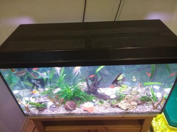 Akwarium około 120 litrow