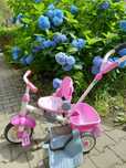 Rower rowerek Little Tikes 4 w 1 nym dla Dziewczynki polecam jak nowy