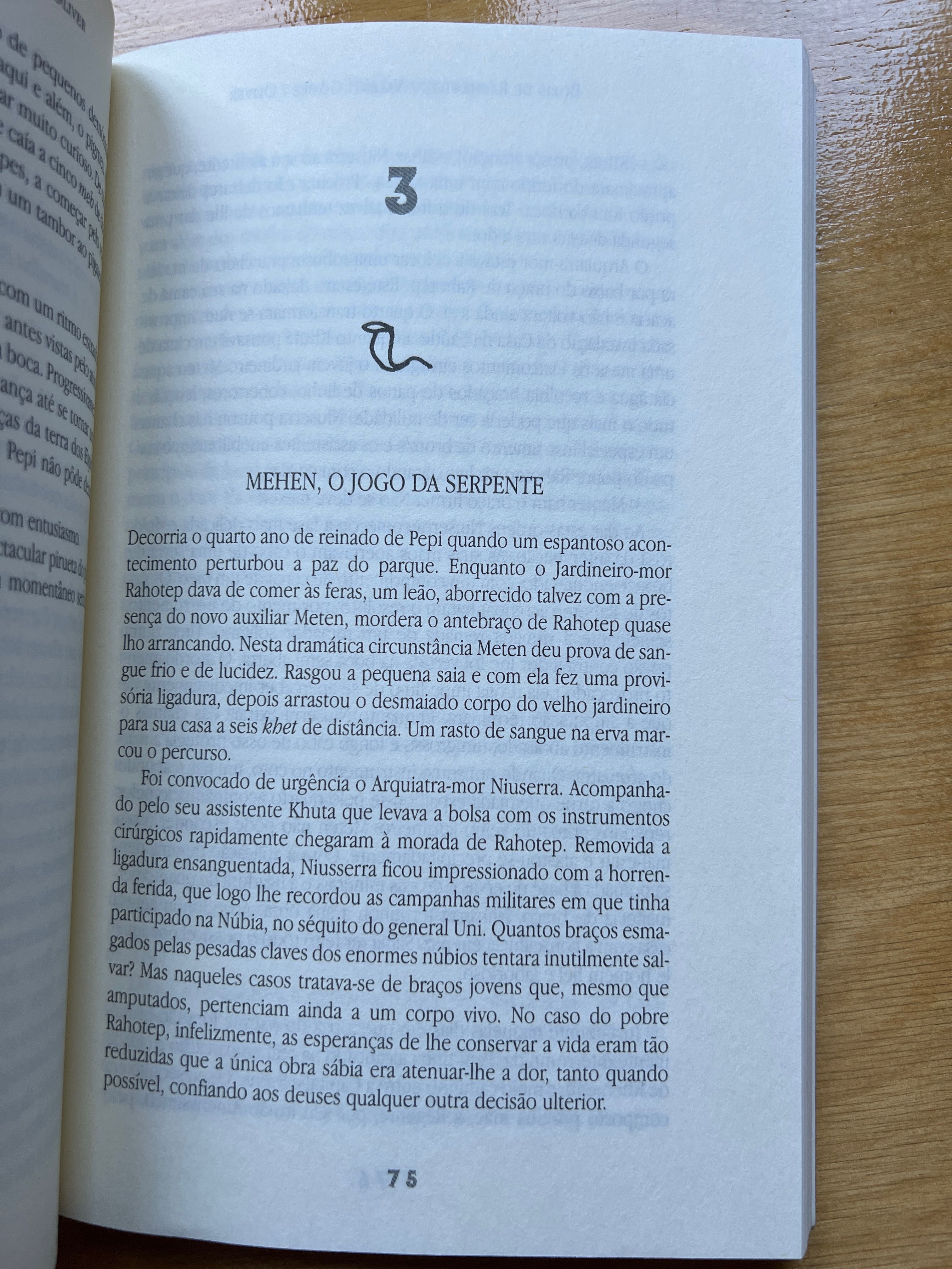 Livro “Os olhos do faraó”