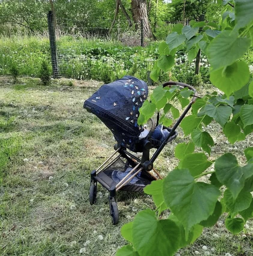 Cybex Priam Jewels of Nature, stelaż Rose Gold