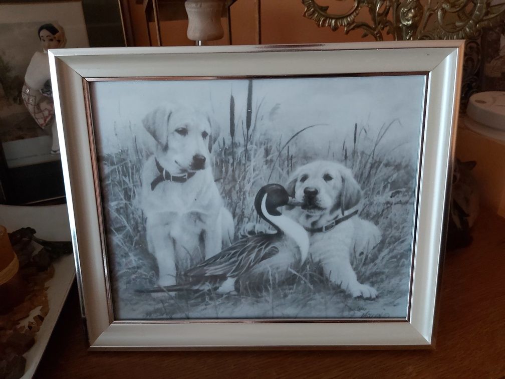 Grafika myśliwska łowiecka polowanie labrador retriever i kaczka.