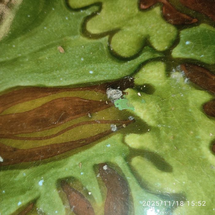 Тарілка настінна керамічна 37 см діаметр, часів Ссср, 1976 рік ЛКСФ?