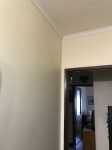 Pintor de casas e outros serviços