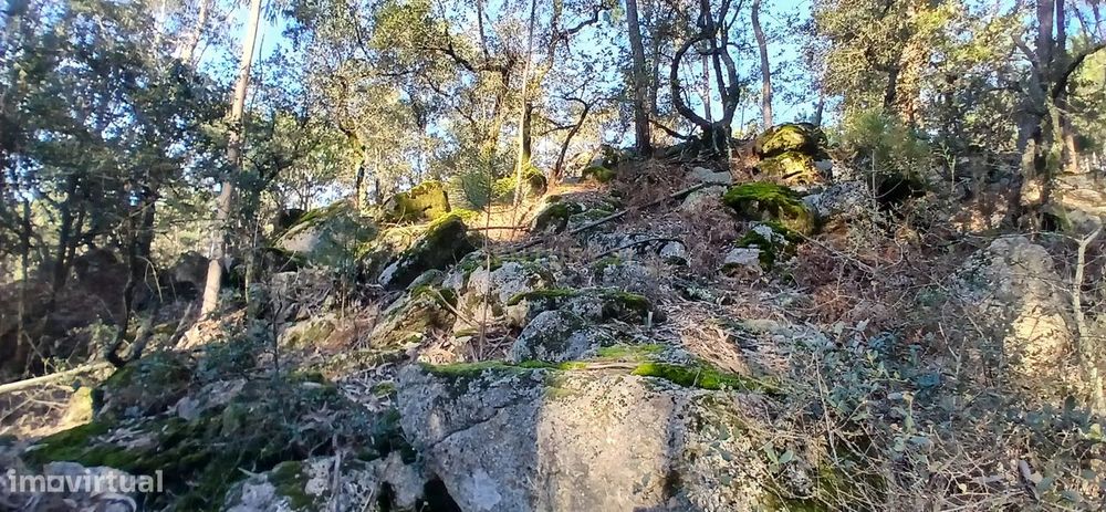 Terreno Rústico em Vilar de Figos, Barcelos com Vista para a Montanha