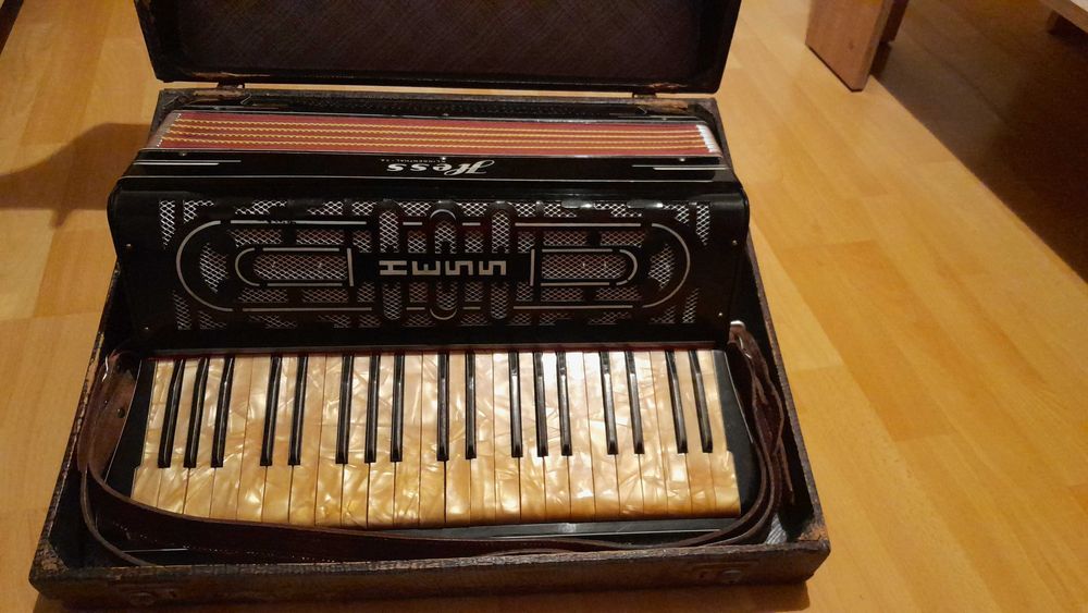 Akordeon hess aktyk stan bdb