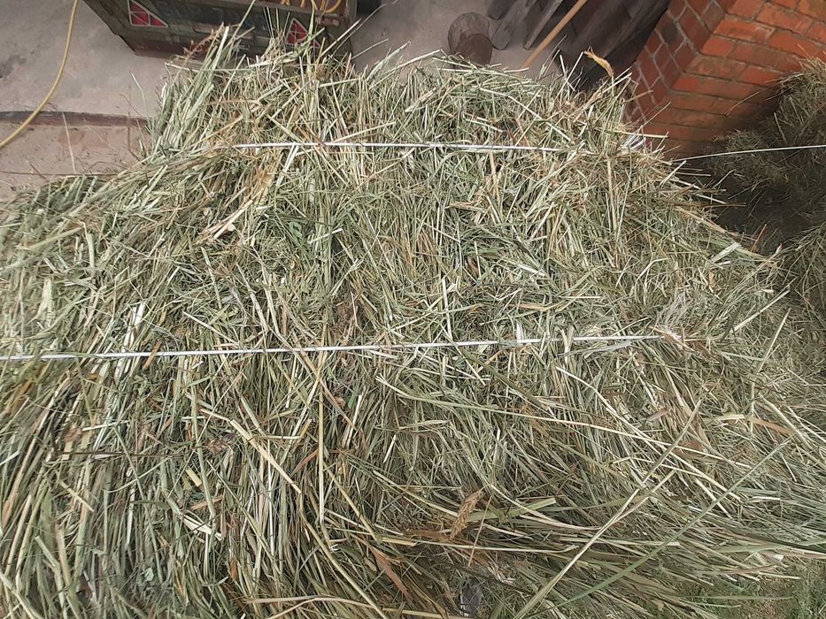 Siano w kostkach ekologiczne