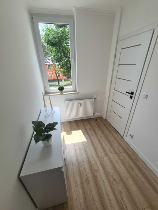 Malowanie tapetowanie gładź zabudowa G-K wykończenia WOLNE TERMINY!