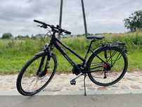 Rower Pegasus SOLERO.