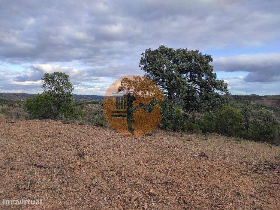 Terreno Com 55.800 M2 Com Possibilidade De Construção - Alcarias Gr...