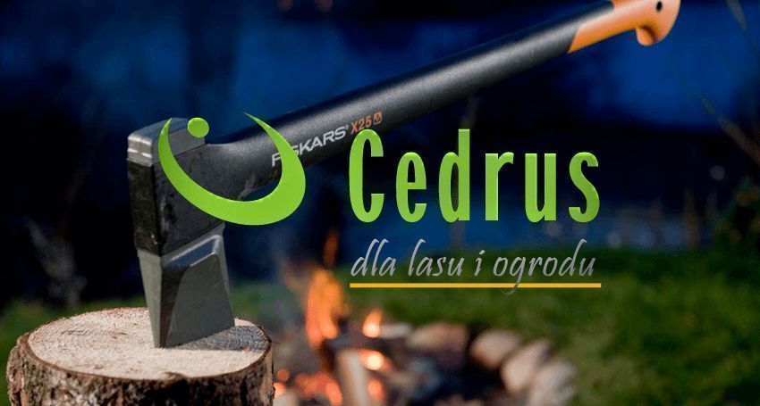 Cedrus Rb03 Rozdrabniacz Spalinowy Rebak Do Gałęzi 12Cm ! Cedrus Rb 03