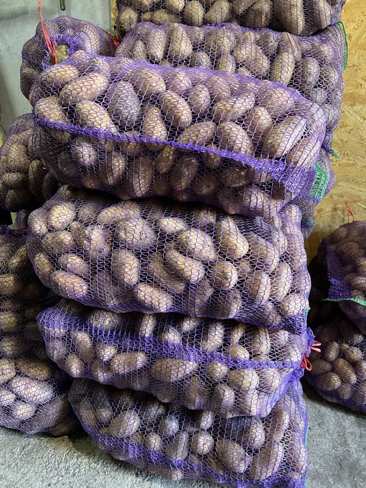 Картопля  сорту Ярла насіннева.