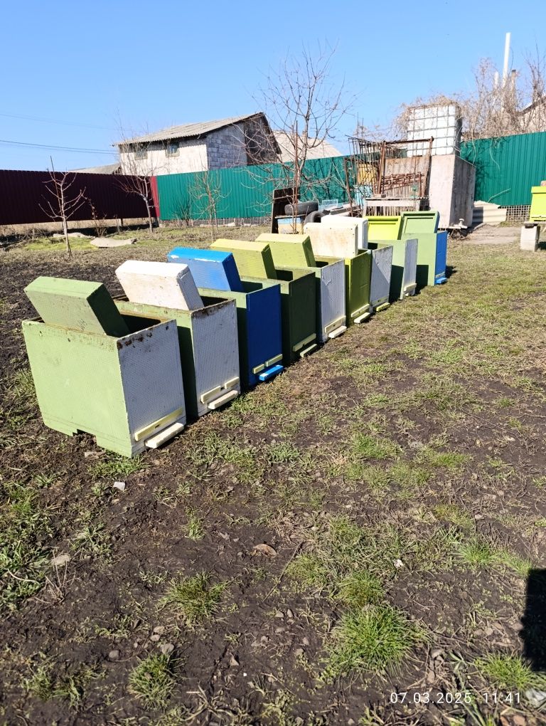 6 ти рамкові вулики та пастки