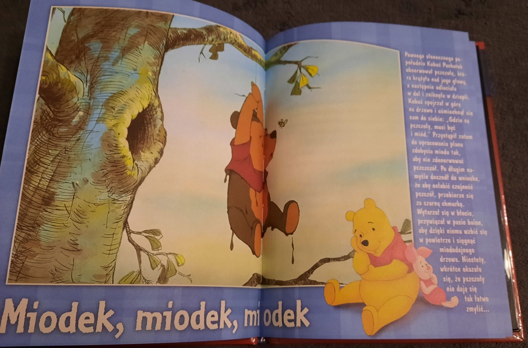 Przygody Kubusia Puchatka, DVD i książeczka