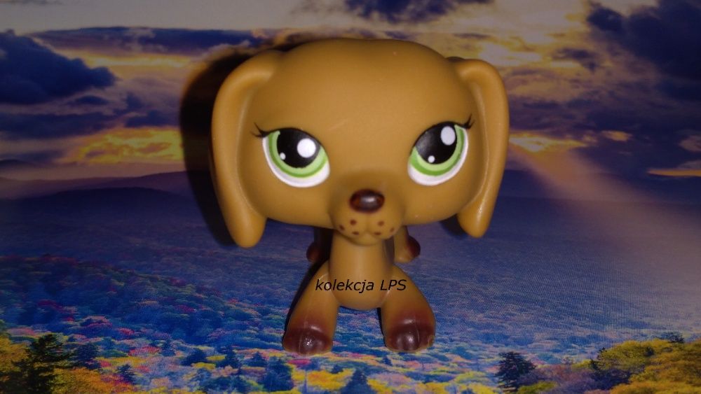 LPS Littlest Pet Shop jamnik #139 #307 oryginalny UNIKAT oryginał POP