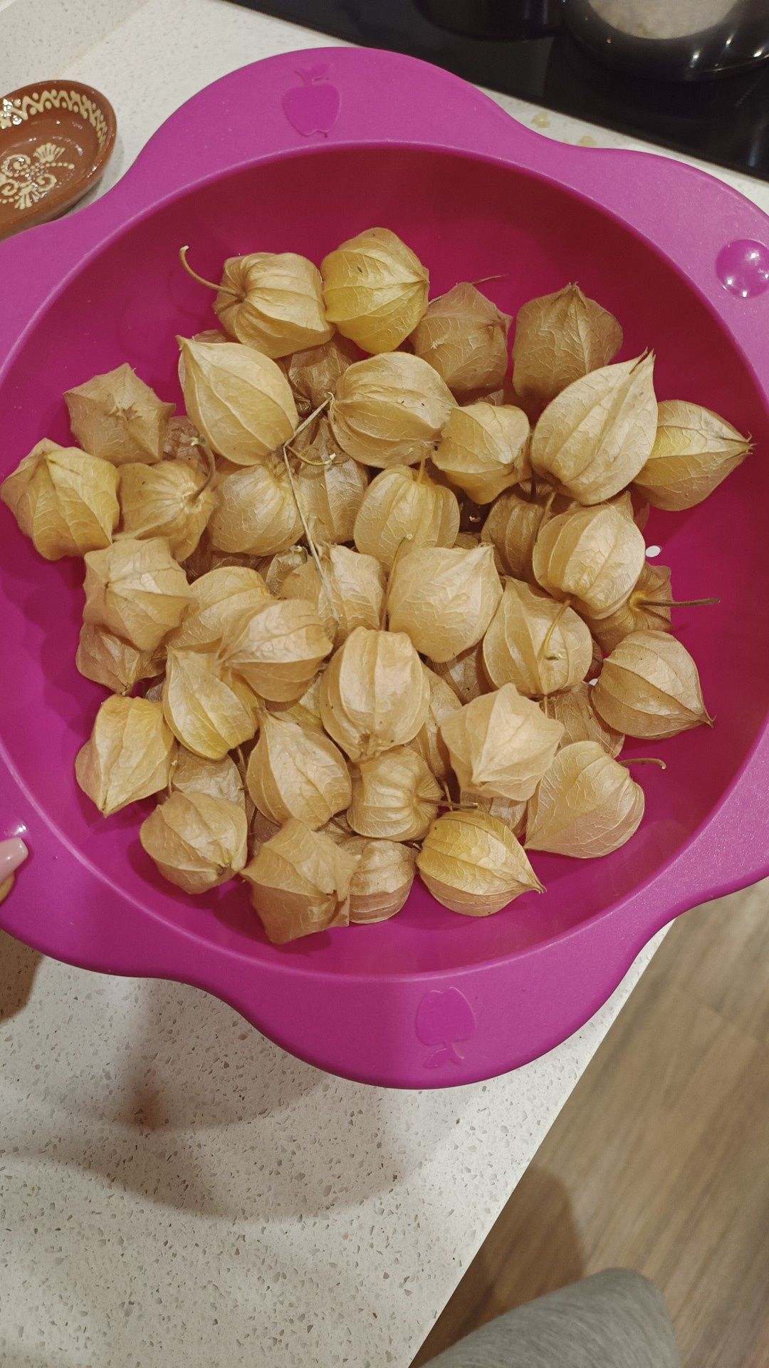 Physalis/ Fisalis fruto