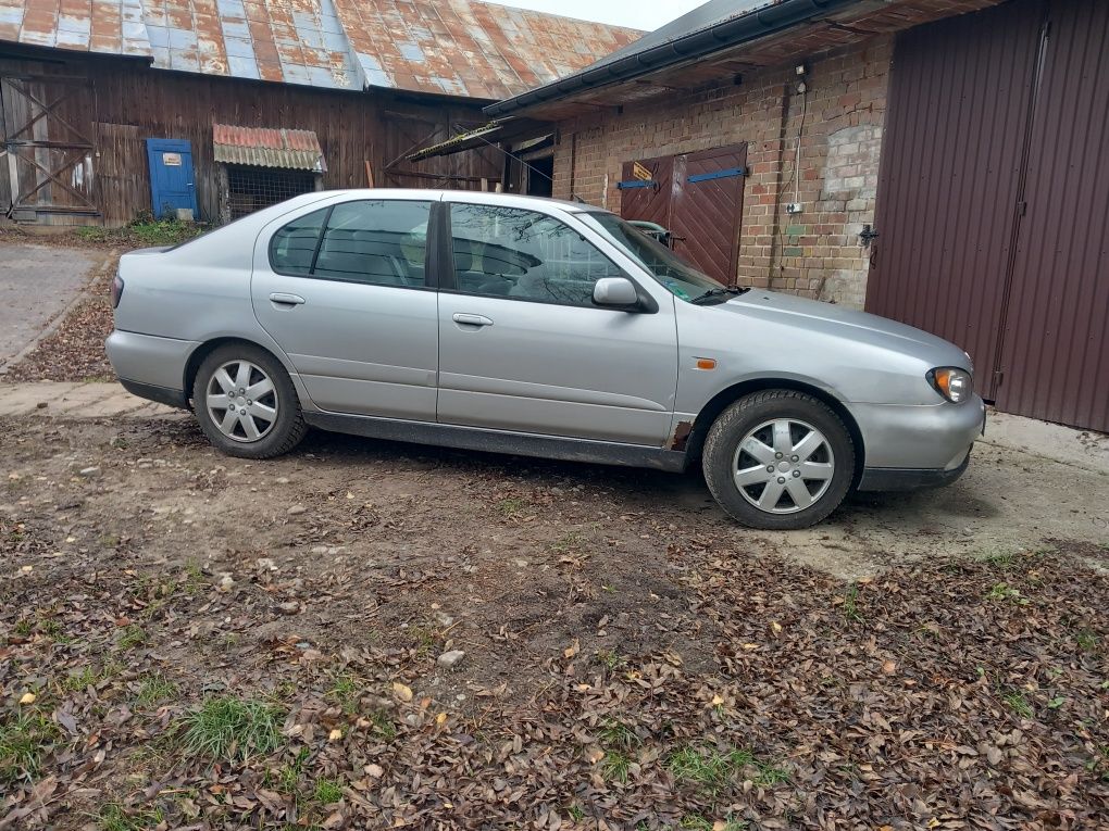 Nissan primera 2000