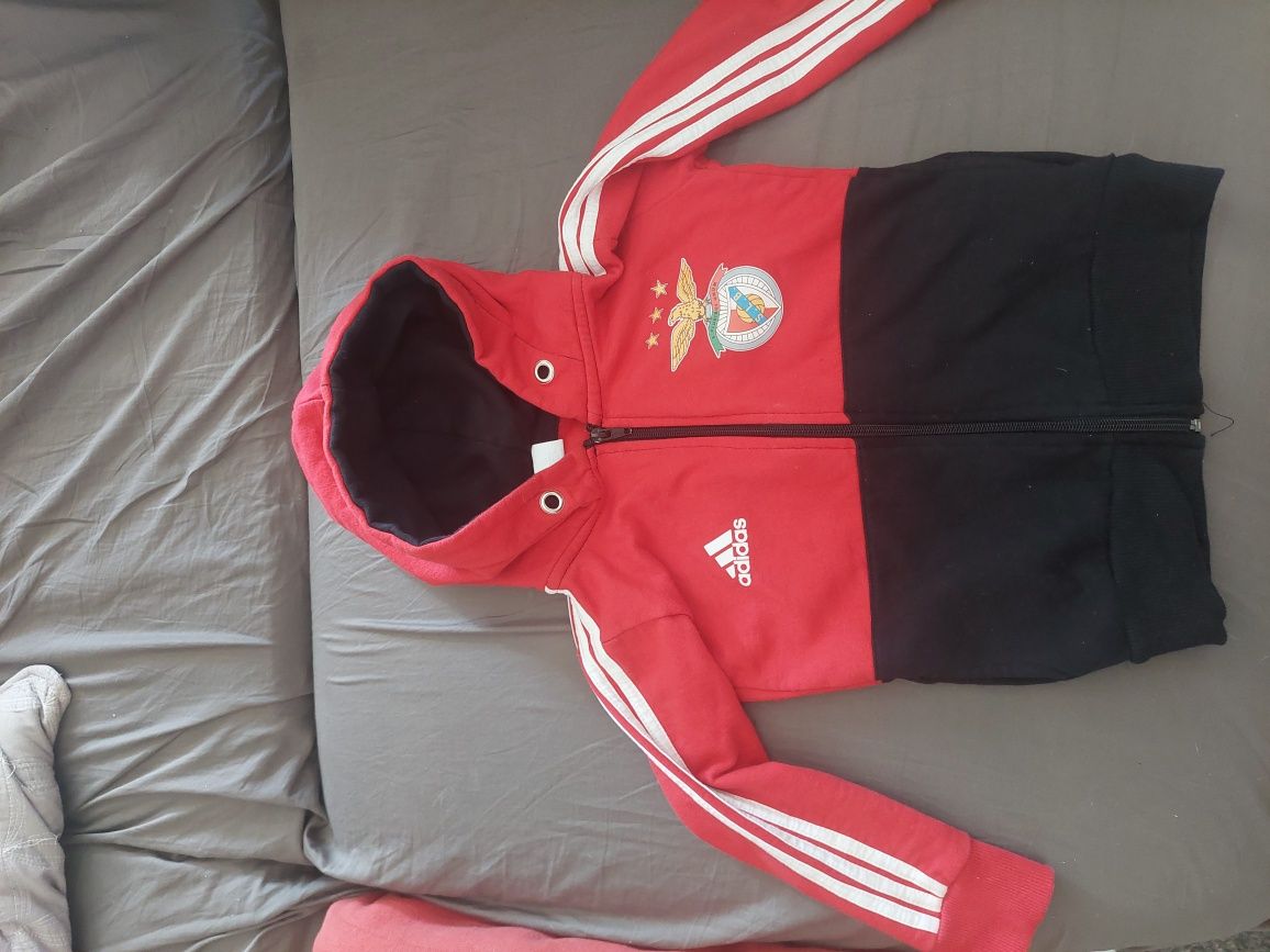Casaco Bemfica Criança