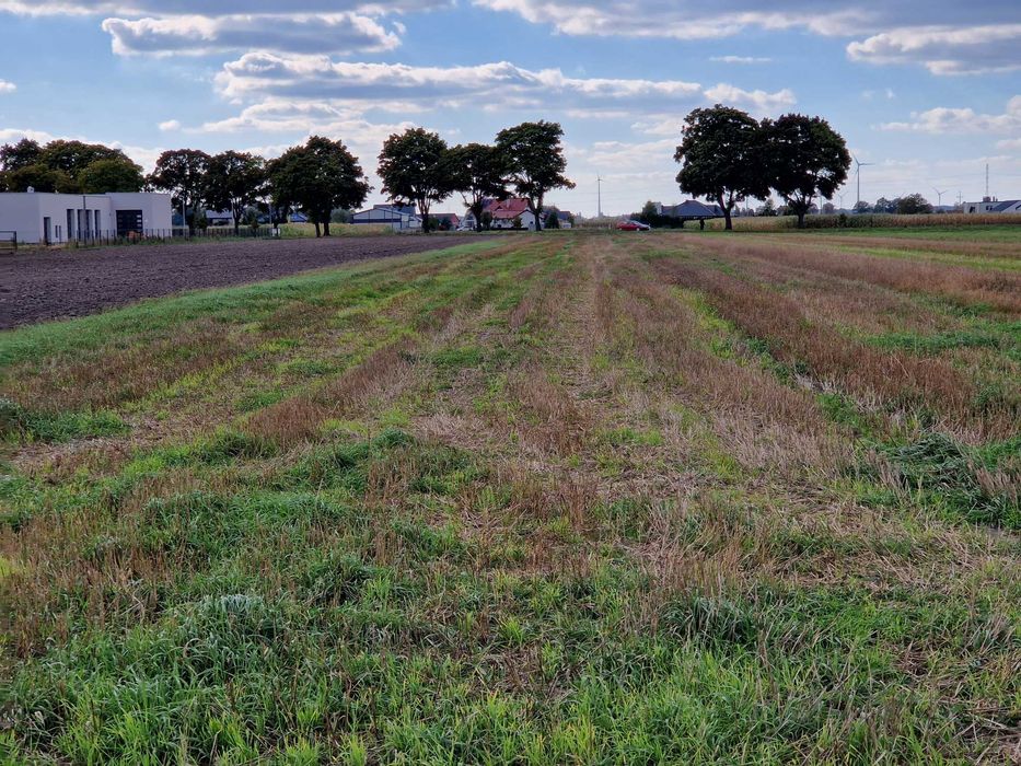 Nieruchomość gruntowa pod inwestycje w Tarchałach Wielkich