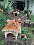 Casotas para cães