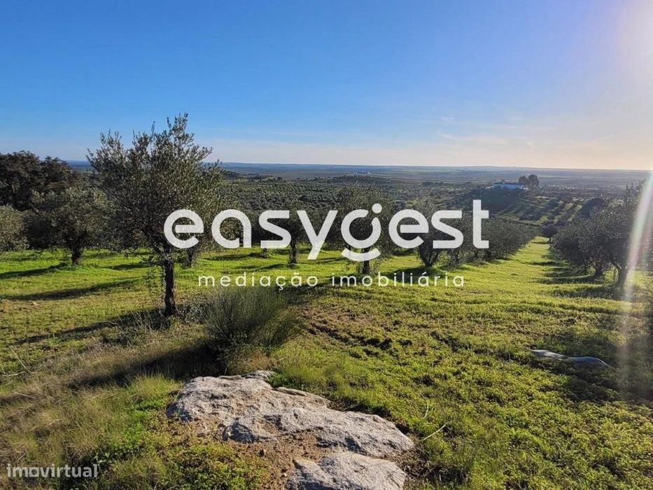 Terreno Rústico com 40.500 m2 localizado na freguesia de Selmes