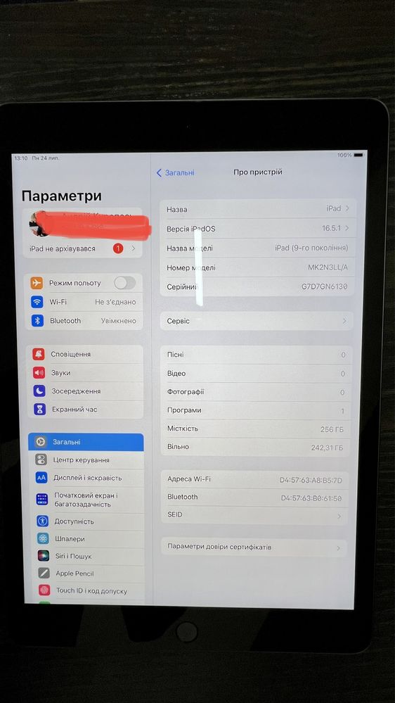 iPad (9-го покоління) 256 gb