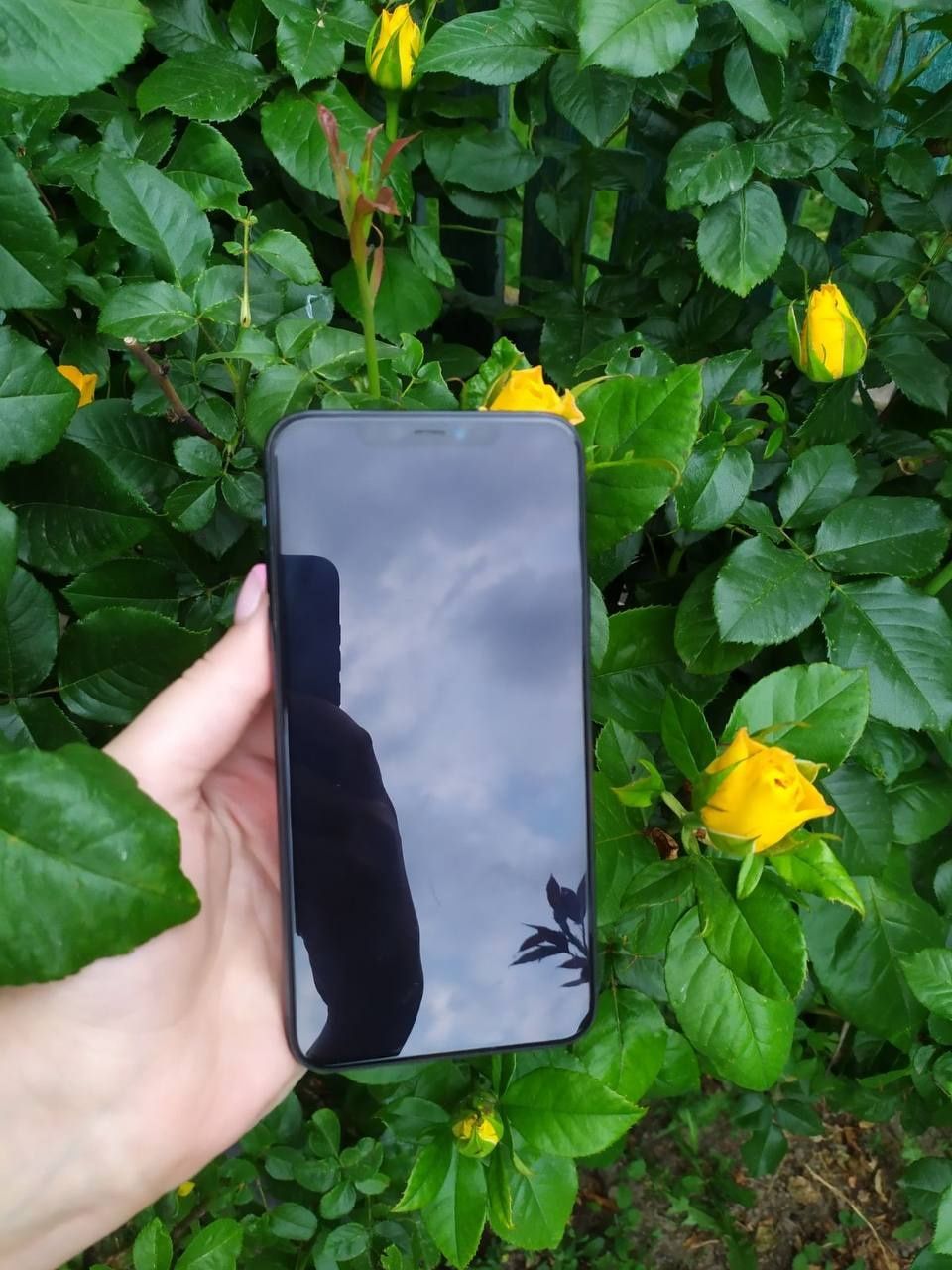 Iphone 11 pro max 64 gb